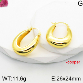 Fashion Copper Earrings  F5E200791vbnb-J165
