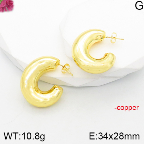 Fashion Copper Earrings  F5E200792vbnl-J165