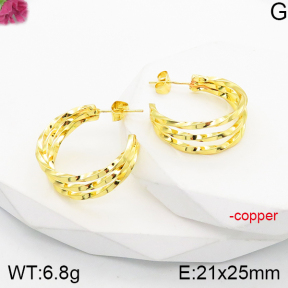 Fashion Copper Earrings  F5E200793vbnl-J165