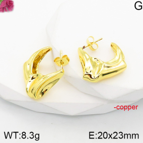 Fashion Copper Earrings  F5E200795vbnb-J165