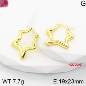 Fashion Copper Earrings  F5E200796bbml-J165
