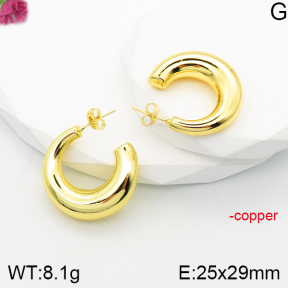 Fashion Copper Earrings  F5E200797vbnl-J165