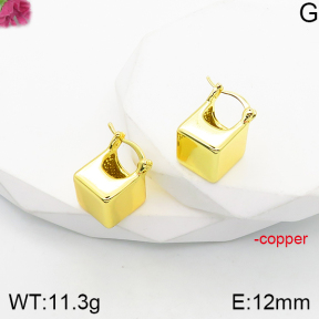 Fashion Copper Earrings  F5E200817vbnb-J165