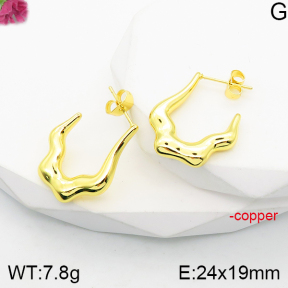 Fashion Copper Earrings  F5E200825vbnb-J165