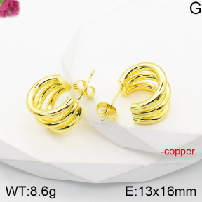 Fashion Copper Earrings  F5E200826vbnb-J165