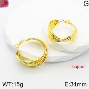 Fashion Copper Earrings  F5E200831vbnb-J165