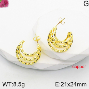 Fashion Copper Earrings  F5E200834vbnb-J165