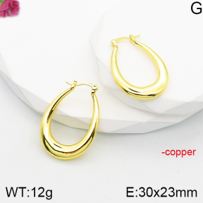 Fashion Copper Earrings  F5E200838vbnb-J165