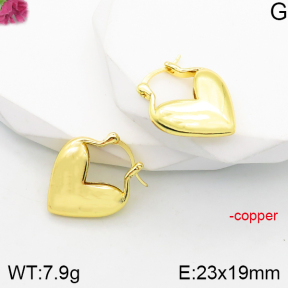 Fashion Copper Earrings  F5E200842vbnb-J165