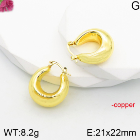 Fashion Copper Earrings  F5E200845vbnb-J165