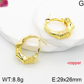 Fashion Copper Earrings  F5E200849vbnb-J165
