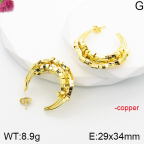 Fashion Copper Earrings  F5E200851bbov-J165