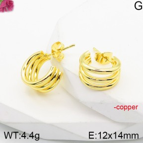 Fashion Copper Earrings  F5E200852vbnb-J165