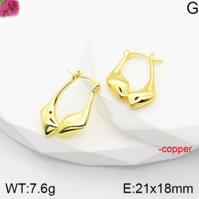 Fashion Copper Earrings  F5E200853vbnb-J165