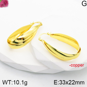 Fashion Copper Earrings  F5E200855vbnb-J165