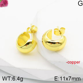 Fashion Copper Earrings  F5E200860vbnl-J165