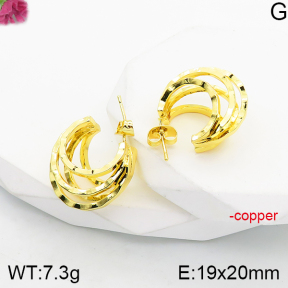 Fashion Copper Earrings  F5E200862vbnl-J165