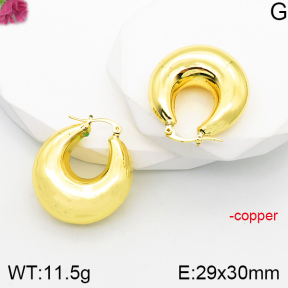 Fashion Copper Earrings  F5E200864vbnl-J165