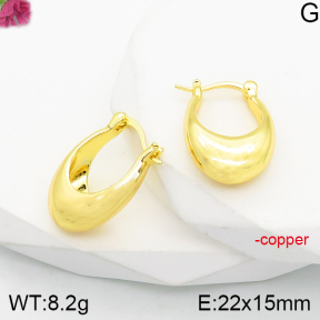 Fashion Copper Earrings  F5E200865vbnb-J165