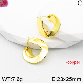 Fashion Copper Earrings  F5E200869vbnb-J165