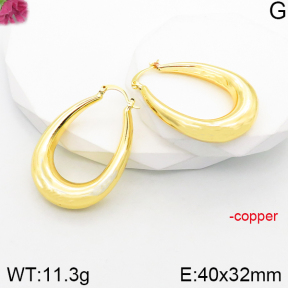 Fashion Copper Earrings  F5E200870vbnb-J165