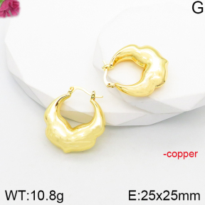 Fashion Copper Earrings  F5E200874vbnl-J165
