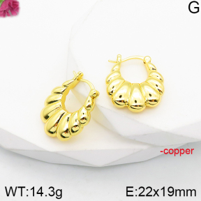 Fashion Copper Earrings  F5E200883vbnb-J165
