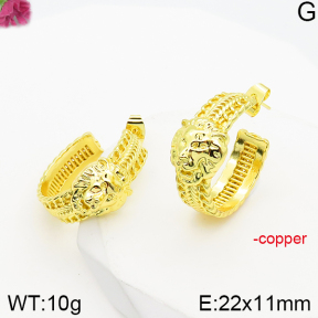 Fashion Copper Earrings  F5E200886vbnb-J165