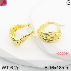 Fashion Copper Earrings  F5E200887vbnb-J165