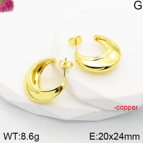 Fashion Copper Earrings  F5E200889vbnb-J165