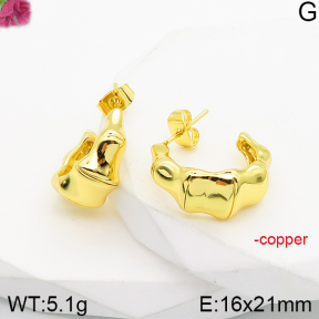 Fashion Copper Earrings  F5E200890vbnb-J165