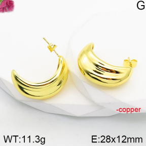 Fashion Copper Earrings  F5E200891vbnb-J165