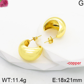 Fashion Copper Earrings  F5E200893vbnb-J165
