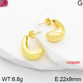 Fashion Copper Earrings  F5E200896vbnb-J165