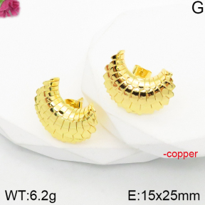Fashion Copper Earrings  F5E200898vbnb-J165