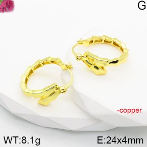 Fashion Copper Earrings  F5E200902vbnl-J165
