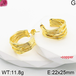 Fashion Copper Earrings  F5E200903bbov-J165