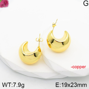 Fashion Copper Earrings  F5E200904vbnb-J165