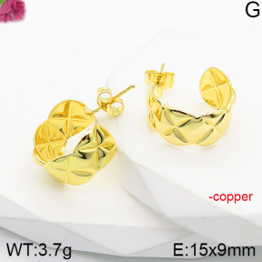 Fashion Copper Earrings  F5E200905vbnl-J165