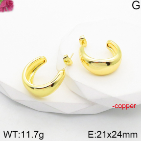 Fashion Copper Earrings  F5E200907vbnb-J165