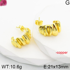 Fashion Copper Earrings  F5E200909vbnl-J165