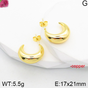 Fashion Copper Earrings  F5E200911vbnb-J165