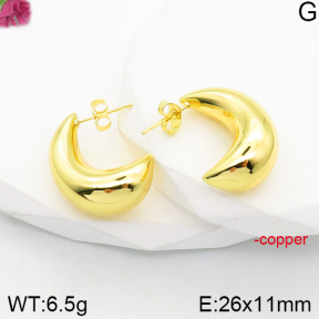 Fashion Copper Earrings  F5E200912vbnb-J165