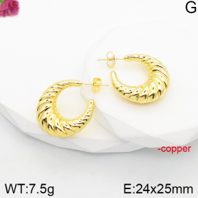 Fashion Copper Earrings  F5E200921vbnb-J165