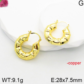 Fashion Copper Earrings  F5E200922vbnb-J165