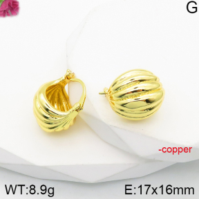 Fashion Copper Earrings  F5E200932vbnl-J165