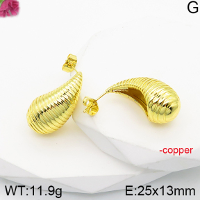 Fashion Copper Earrings  F5E200940vbnb-J165