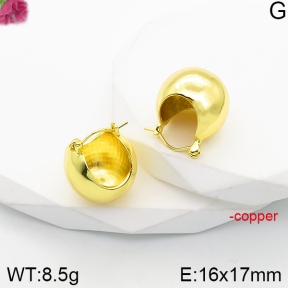 Fashion Copper Earrings  F5E200950vbnb-J165