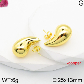 Fashion Copper Earrings  F5E200956vbmb-J165