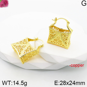 Fashion Copper Earrings  F5E200957bvpl-J165